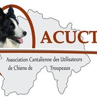 ACUCT15