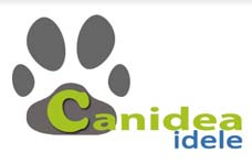 canidea